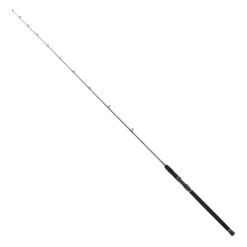 PENN Regiment III Solid Carbon Boothengel 2,40m (20-30lb) -Exporteren Vis Kunsten Winkel f89226b16029a930