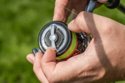 Korum Snapper Infernos SL Red Reel 2000 7+1bb 5,2:1 -Exporteren Vis Kunsten Winkel ffe7bb0e659a2eac