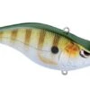 Spro Aruku Shad 6,5cm (14g) Perch -Exporteren Vis Kunsten Winkel fffefd2be09247cb
