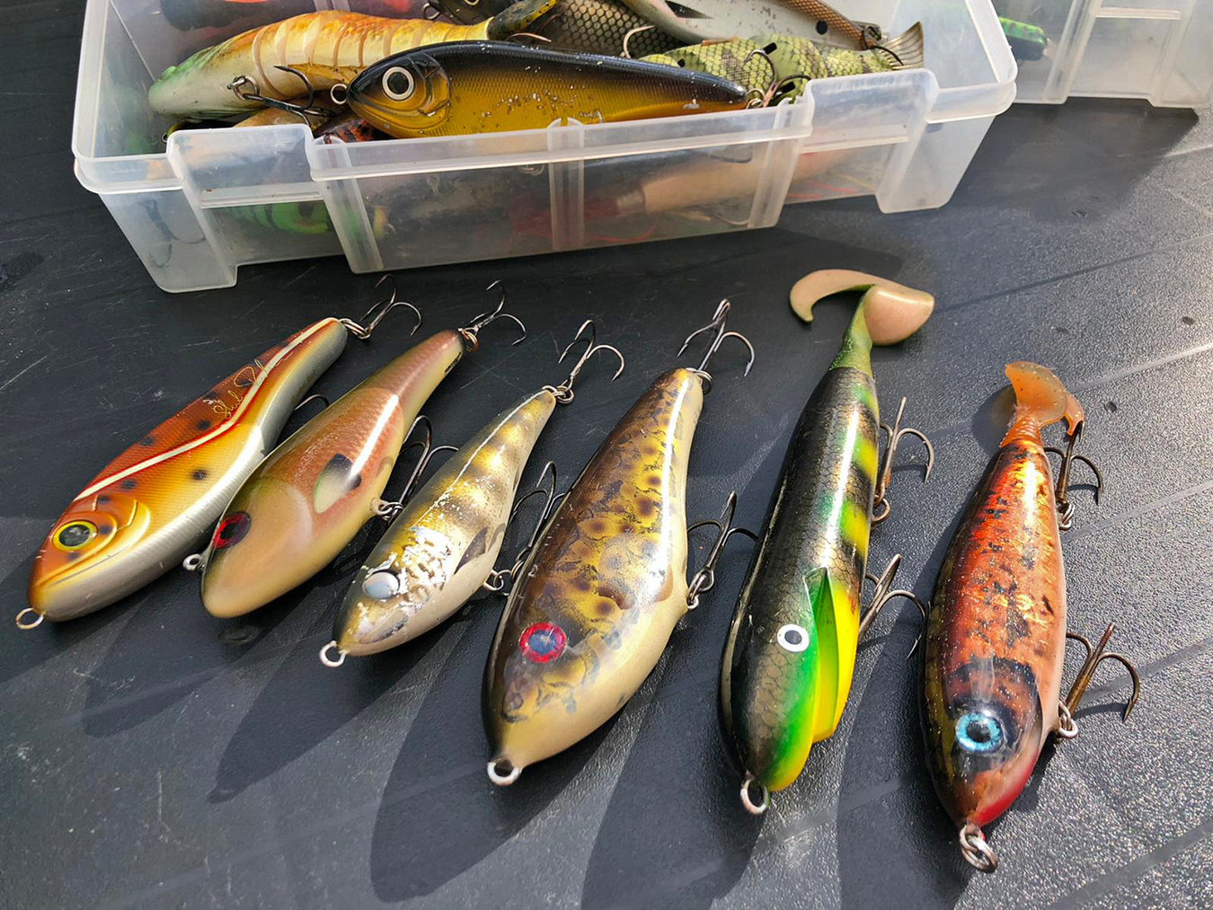 Exporteren Vis Kunsten Winkel -Exporteren Vis Kunsten Winkel 8db2009b 89c0 4076 a6fe 11e71c77b247